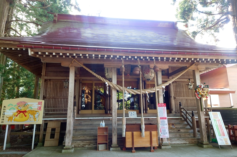 画像5