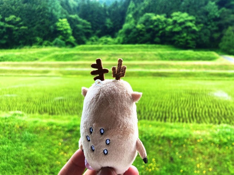 画像2