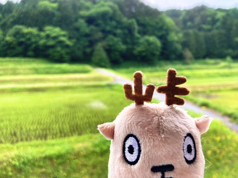 画像1