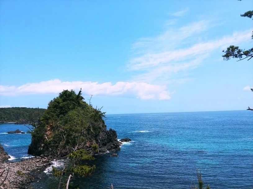 画像1