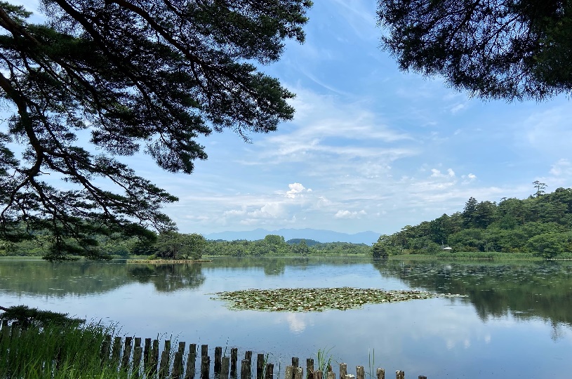 画像1