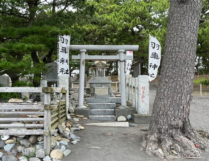 画像4