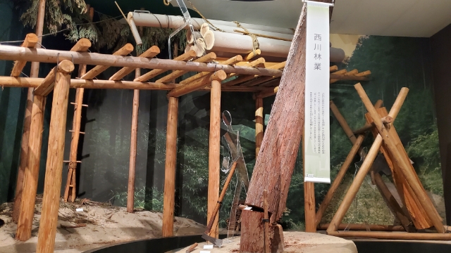 画像2