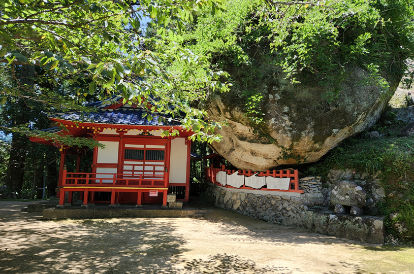 画像4