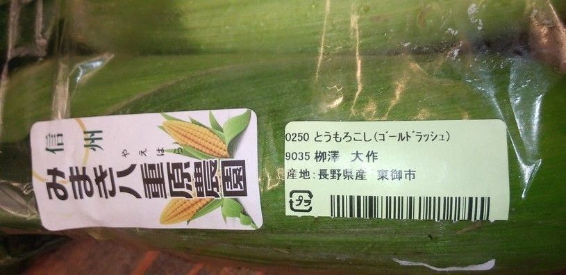 画像5