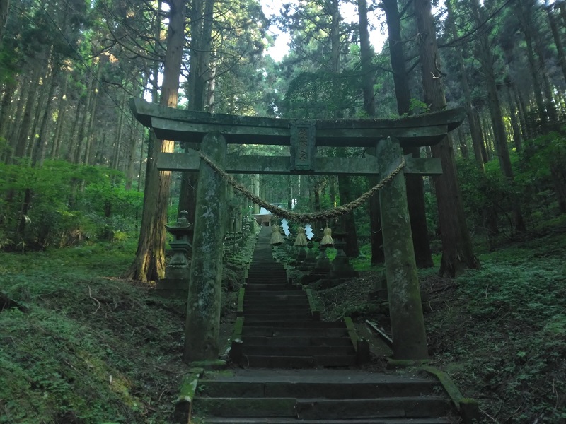 画像4