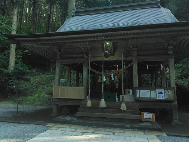 画像4