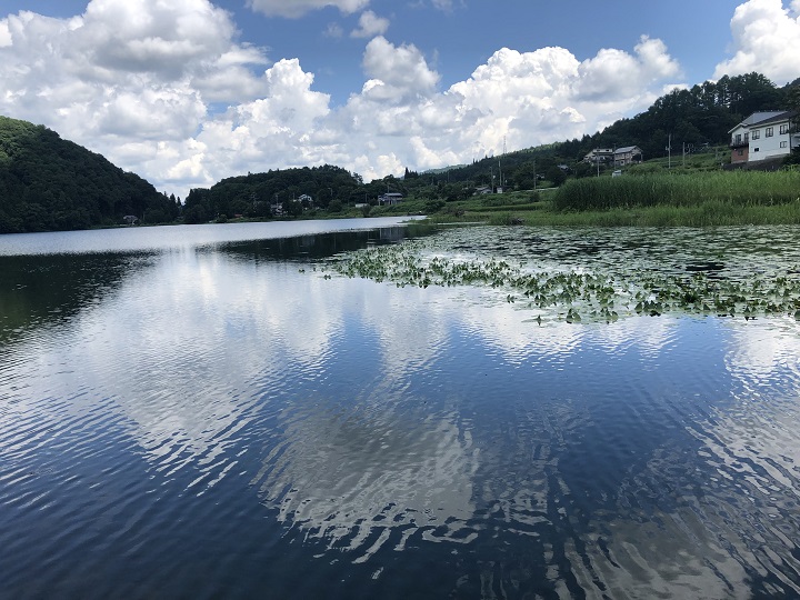 画像2