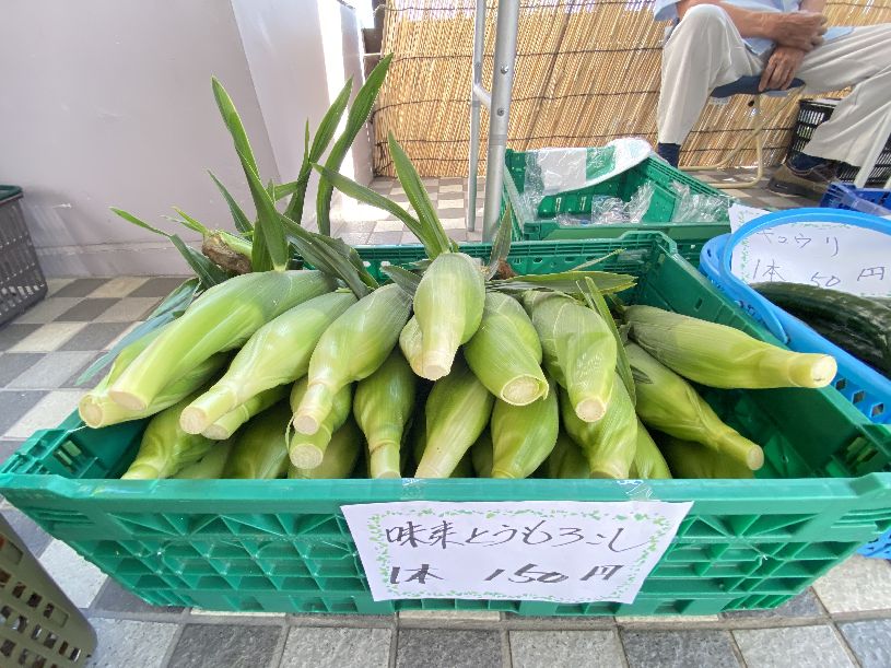 画像1
