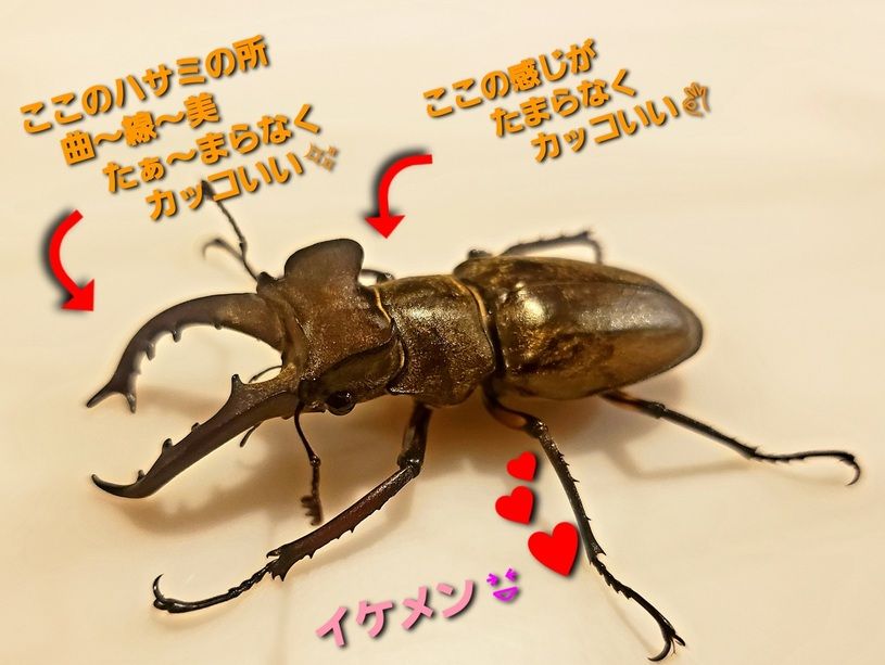 画像3