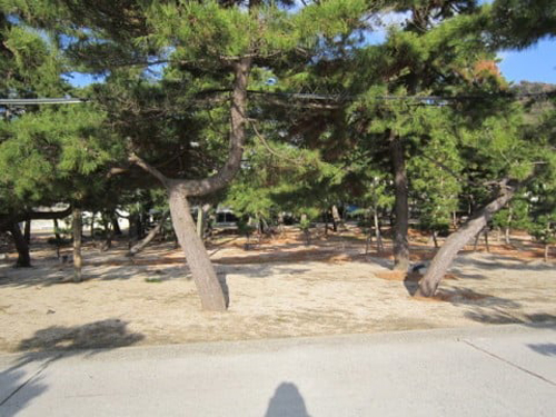 画像2