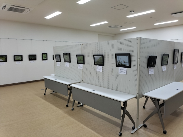 画像4
