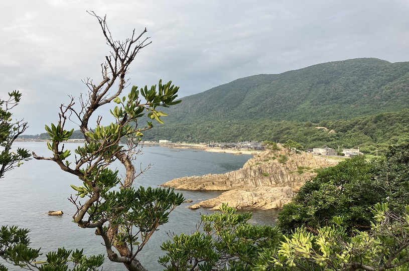 画像5