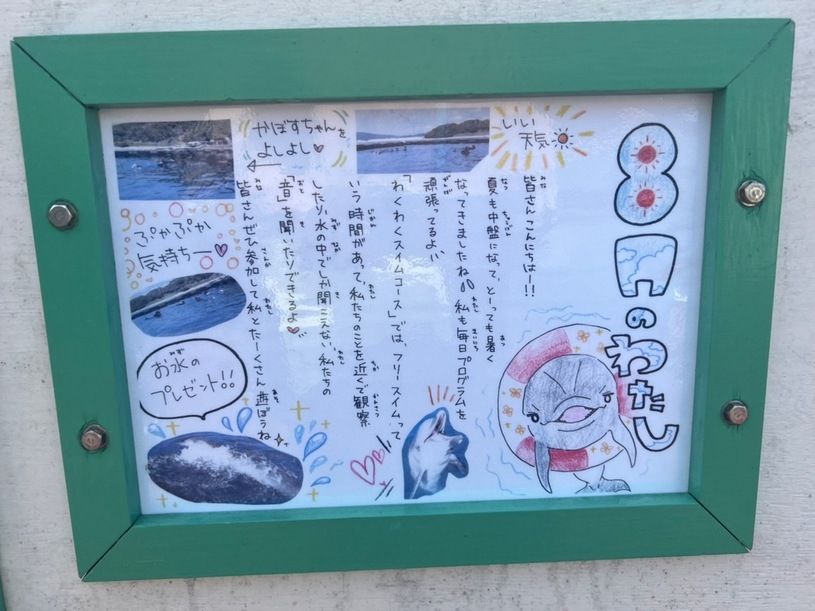 画像4