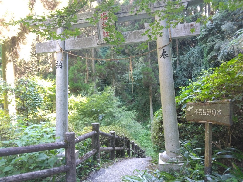 画像5