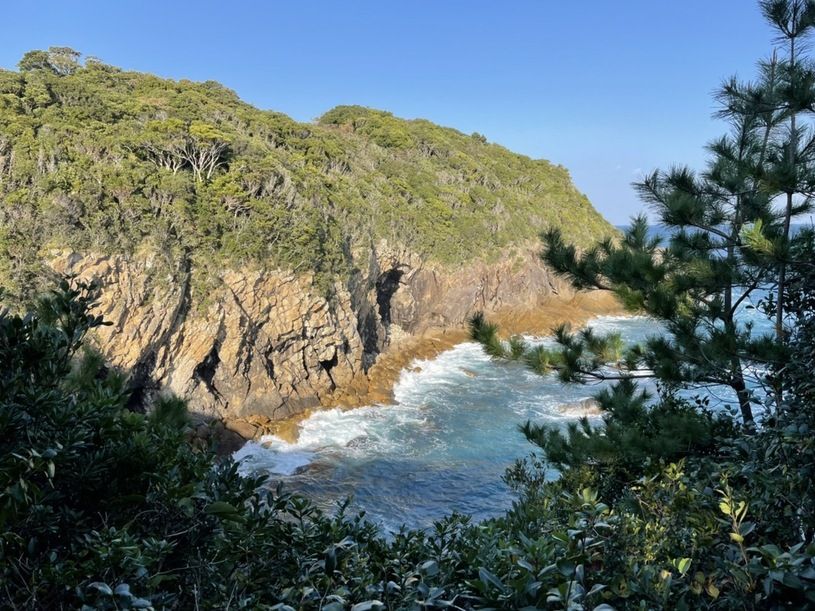 画像2