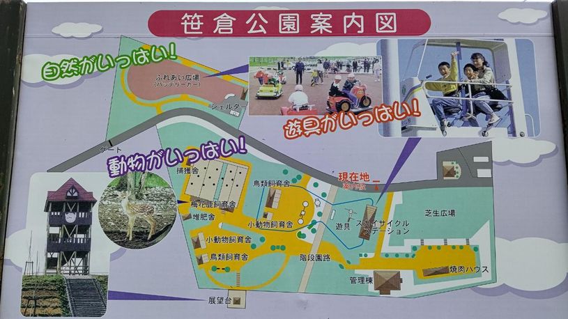 画像5