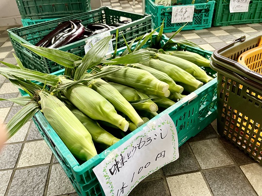 画像2