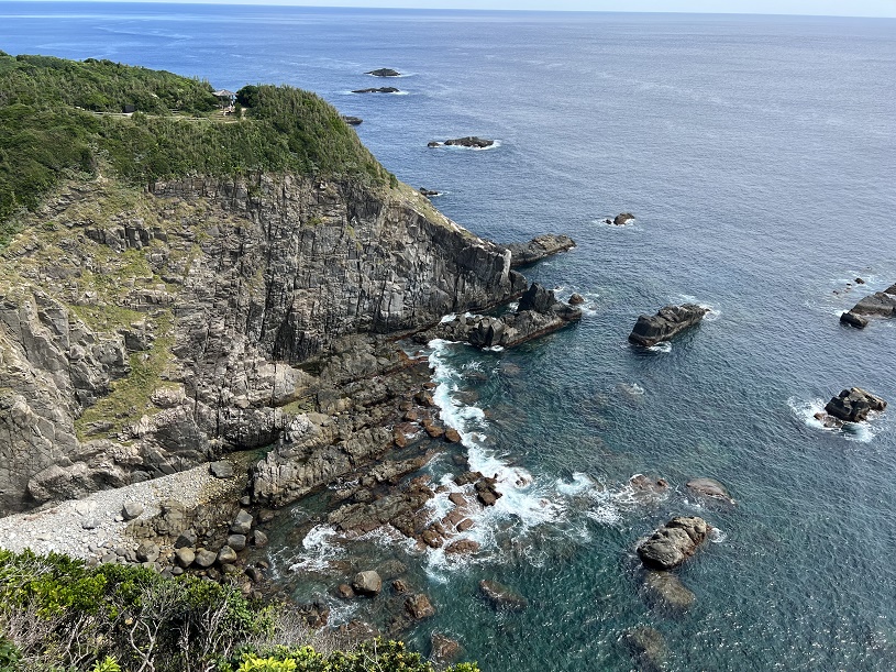 画像4