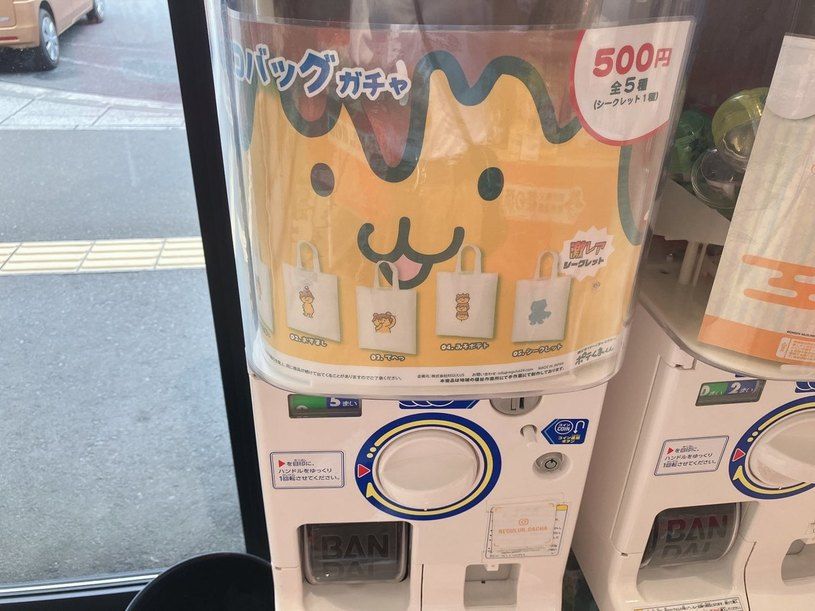 画像5