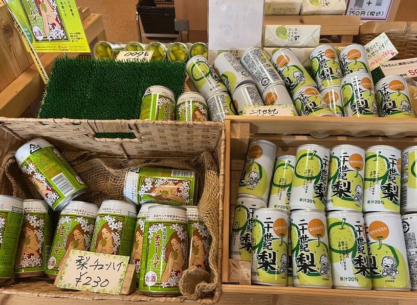 画像5