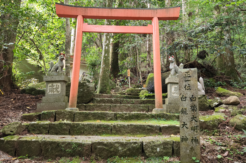画像4