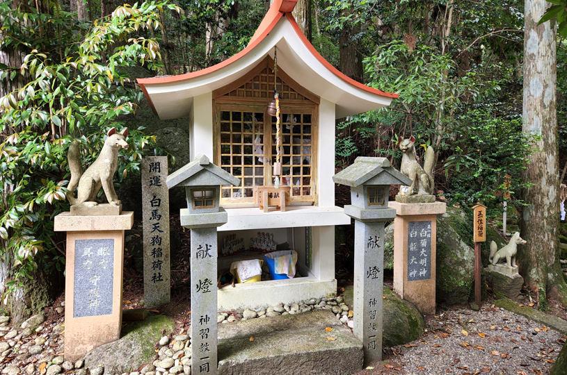 画像5