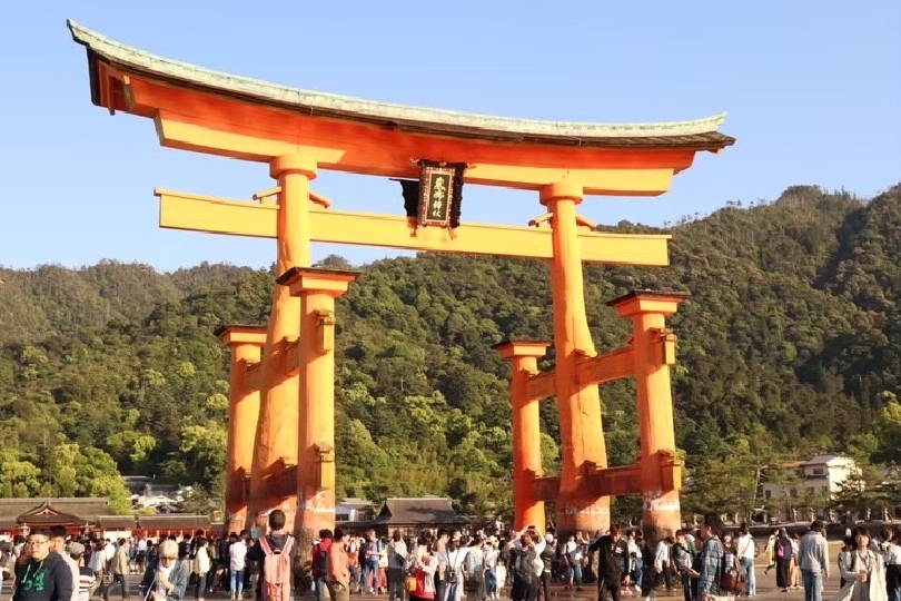 画像1