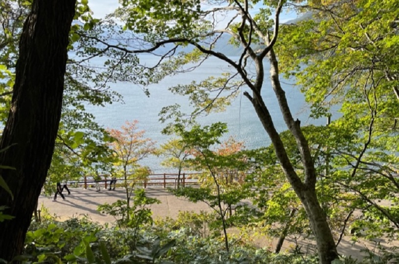 画像4