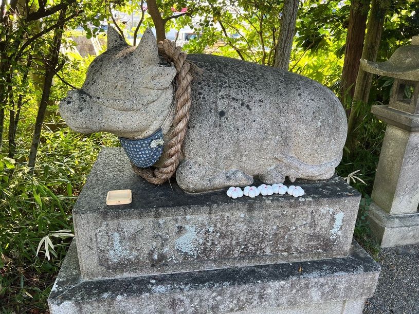 画像3