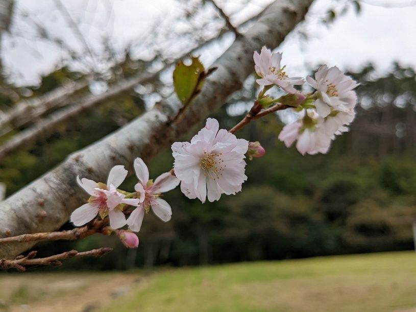 画像4