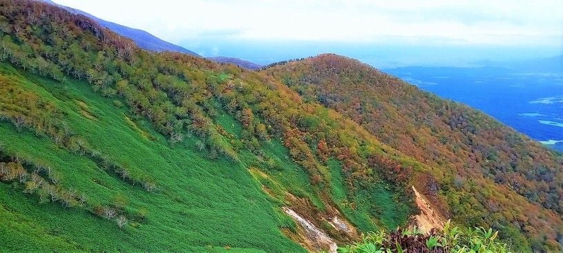 画像2