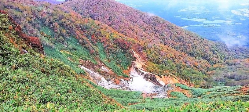 画像5