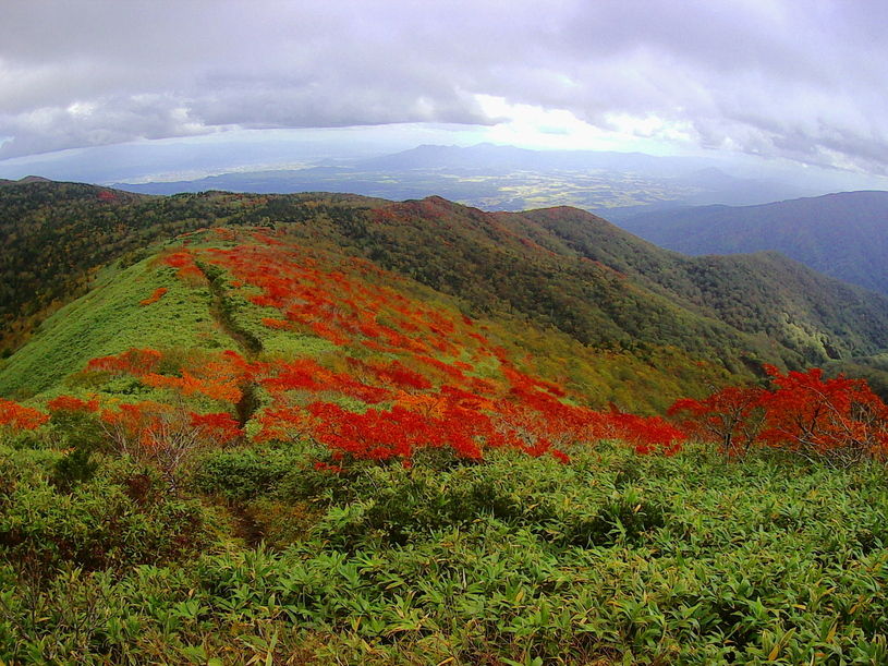 画像4
