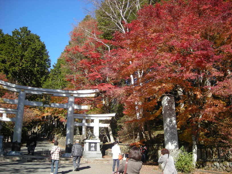 画像4