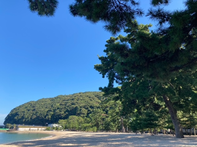 画像2