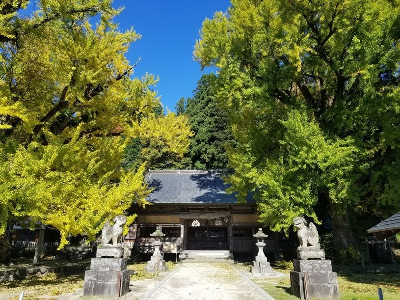 画像5