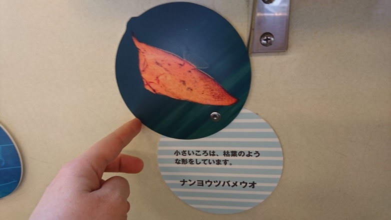 画像2