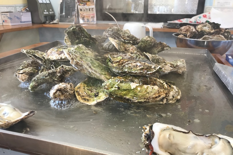 画像1