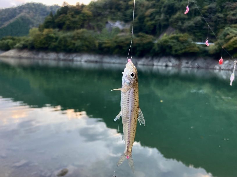 画像2