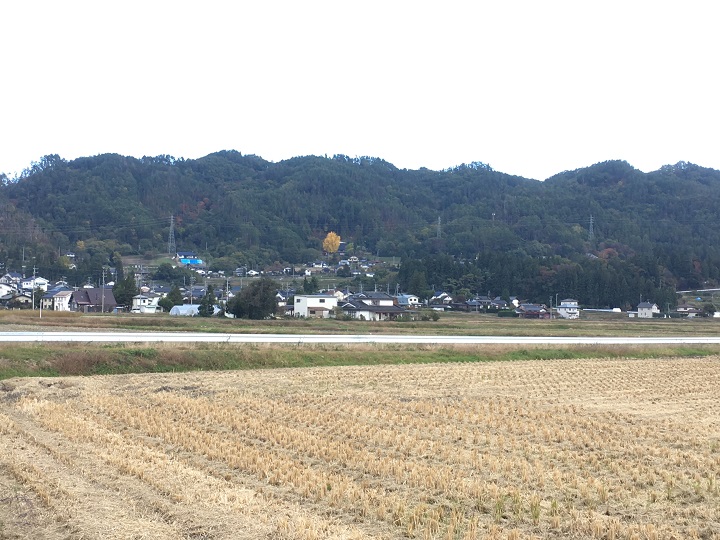 画像3