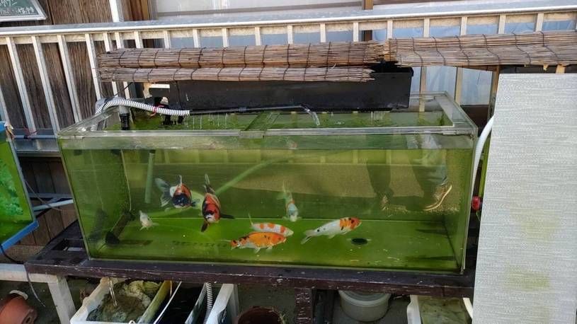 画像1