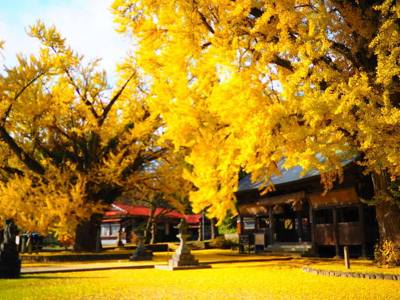 画像2