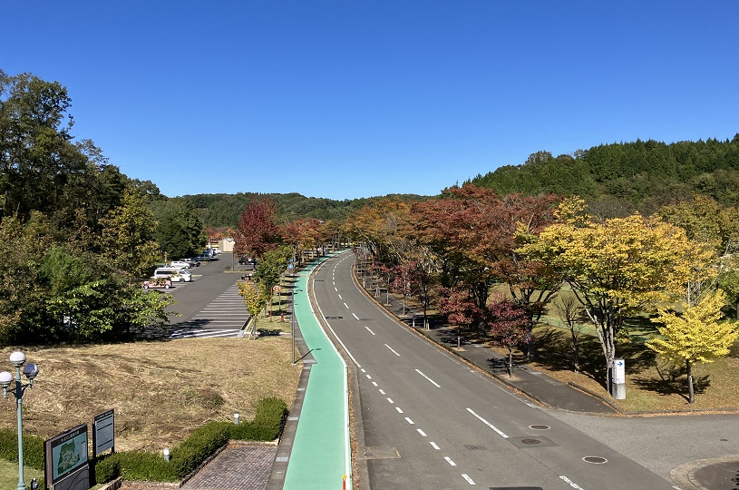 画像2