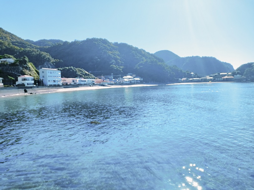 画像1