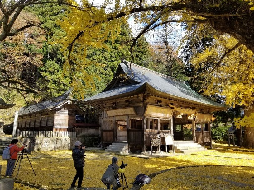 画像1