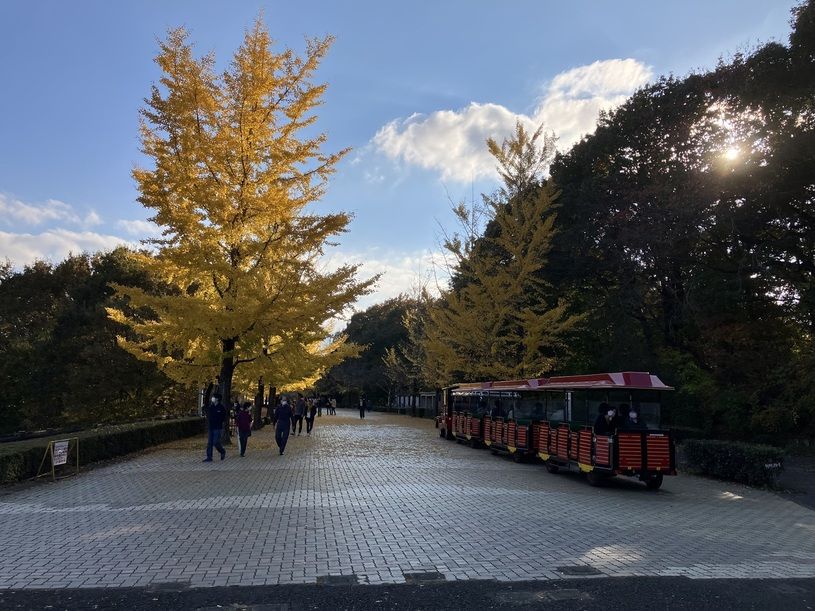 画像2