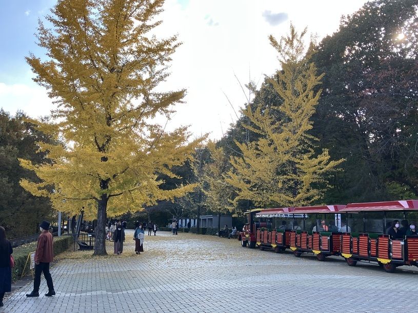 画像1