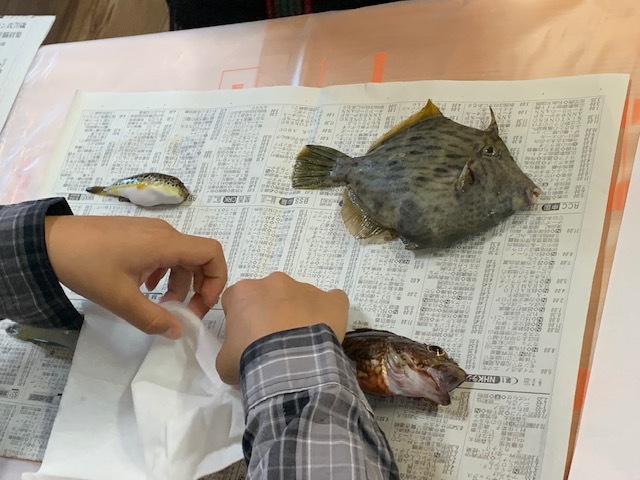 画像2