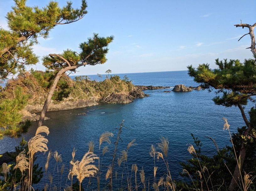 画像4